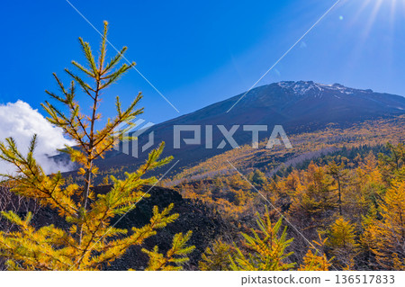 【山梨縣】富士山頂的第一場雪和恩中道的秋葉 136517833