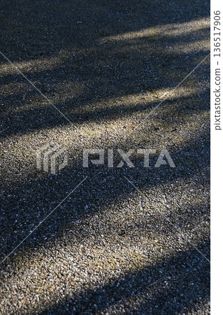 Trees and shadows 136517906