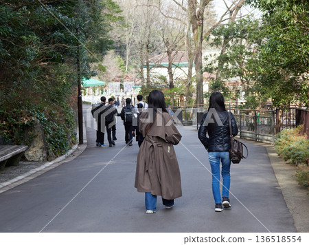 冬季,一群年輕的女遊客和參加學校旅行的學生在名古屋市東山動物園漫步。 冬季,一群年輕的女遊客和參加學校旅行的學生在名古屋市東山動物園漫步。 136518554