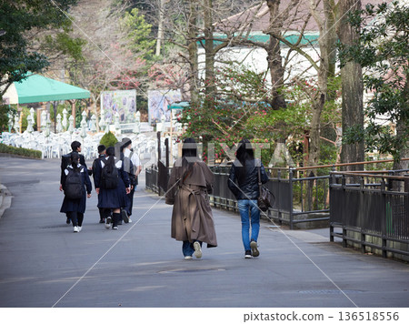 冬季，一群年輕的女遊客和參加學校旅行的學生在名古屋市東山動物園漫步。 136518556