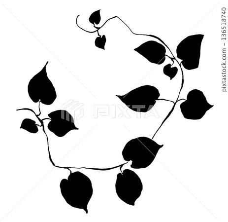 Leaf Silhouette 136518740