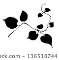 Leaf Silhouette 136518744