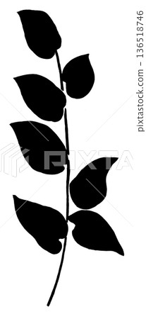 葉子輪廓 136518746