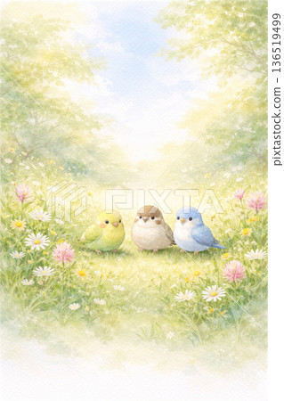 鳥類系列：一隻小鳥站在春日草地上，背景是它站立的景象。 136519499