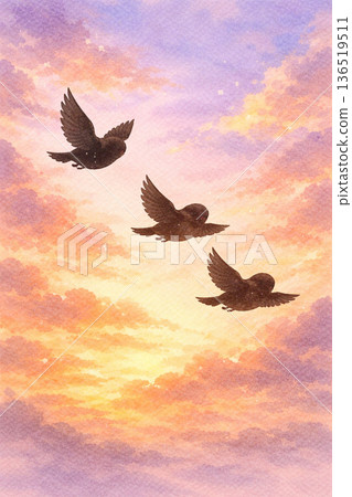 鳥類系列：飛鳥的剪影，映襯著落日的天空 136519511