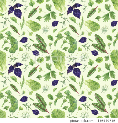 Fresh microgreen leaves watercolor seamless pattern on pastel spring green background. Purple basil, lettuce salad leaf, chard beet, rosemary, dill, parsley, oregano herbs hand painting illustration 136519746