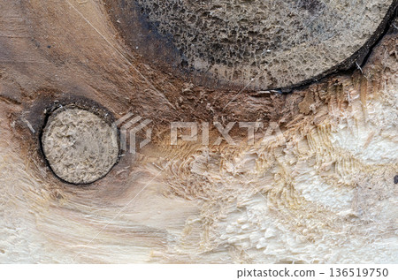 Wood grain 136519750