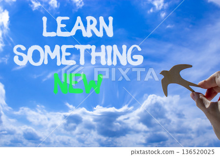 Learn something new symbol. Concept words Learn something new. Beautiful blue sky background. Businessman hand, wooden birds. Business motivational lifestyle learn something new concept. Copy space. Learn something new symbol. Concept words Learn something new. Beautiful blue sky background. Businessman hand, wooden birds. Business motivational lifestyle learn something new concept. Copy space. 136520025