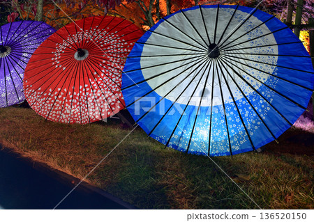 楓葉離開了紅葉 楓葉離開了紅葉 136520150