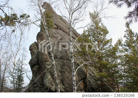 Tall rock formation with pine and birch trees. Mountainous landscape scenery for nature, travel, environment. Stolby Krasnoyarsk, Malyy Berkut rock Tall rock formation with pine and birch trees. Mountainous landscape scenery for nature, travel, environment. Stolby Krasnoyarsk, Malyy Berkut rock 136520166