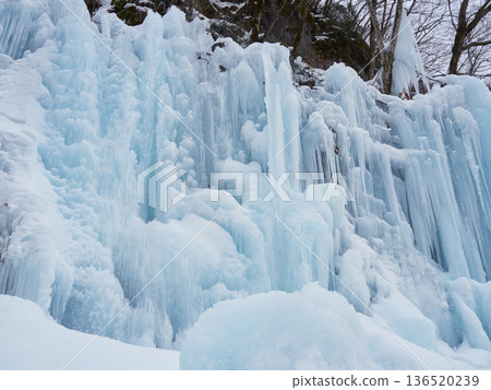 Beautiful ice waterfall scenery in Hida Ice Valley, a tourist attraction in Gifu Prefecture, in winter 136520239