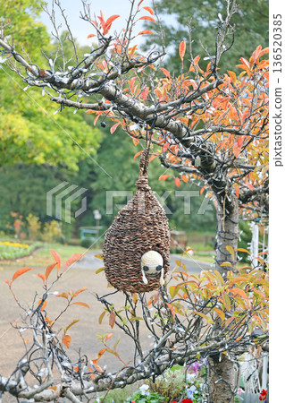 花廊花壇 136520385