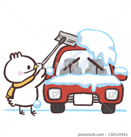 一隻白鳥正在清除汽車上的積雪（插圖） 136520561