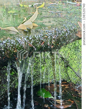 A small waterfall in a quiet stream 136520740