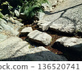 River flowing between rocks 136520741