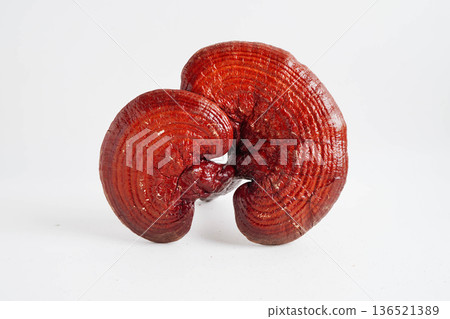 Lingzhi or Reishi mushroom with capsules, organic natural healthy food. 136521389