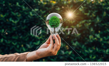 Bright light bulb holds small tree inside as symbol of eco-friendly ideas and sustainability in nature Bright light bulb holds small tree inside as symbol of eco-friendly ideas and sustainability in nature 136522015