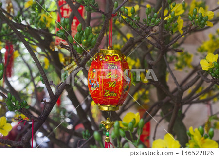 decorations for the Lunar New Year TET, traditional decorative elements in red, on trees, flowers and fruits 136522026
