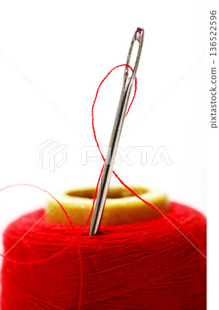 Needle And Thread Needle And Thread 136522596