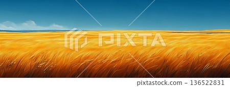 Golden wheat field under clear blue sky with gentle clouds 136522831