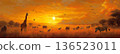 African savannah sunset with wildlife: giraffe, zebras, elephants, birds in golden landscape 136523011