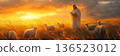 Male figure with sheep in golden sunset field pastoral scene 136523012