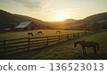 Serene sunset on pastoral farm with horses grazing in lush green meadow 136523013