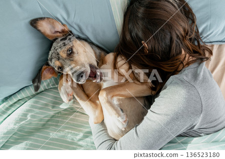 sleepy spotted Dog lies on bed under blanket with its owner, young woman is asleep.  136523180