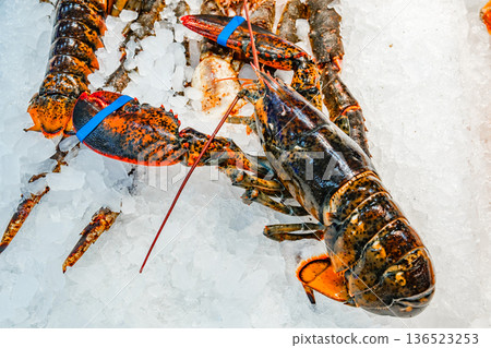 fresh lobster with claws on ice, in supermarket 136523253