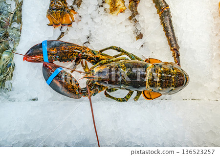 fresh lobster on ice in supermarket fresh lobster on ice in supermarket 136523257