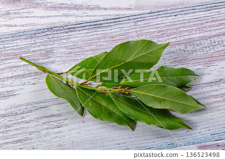 Fresh green laurel leves for cooking Fresh green laurel leves for cooking 136523498