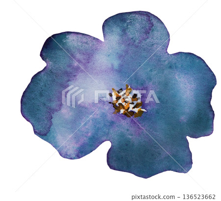 Watercolor dark blue flower, isolated illustration, floral wedding and party stationery element Watercolor dark blue flower, isolated illustration, floral wedding and party stationery element 136523662