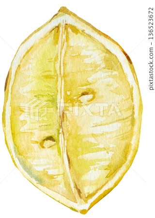 Hand drawn watercolor lemon slice, isolated botanical illustration. Yellow citrus fruit element 136523672