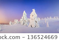 Winter wonderland forest at twillings. Natural landscape. 136524669