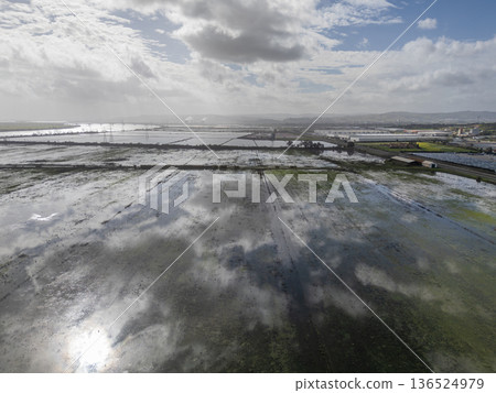 Fluvial Flood on Tagus River in Azambuja, Lisbon, Portugal. Aerial View 136524979