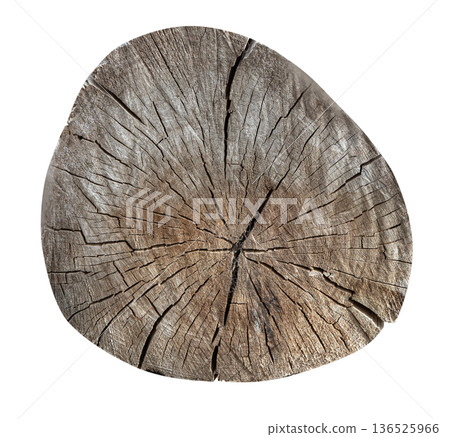 Tree stump cross section showing wood grain and annual rings 136525966