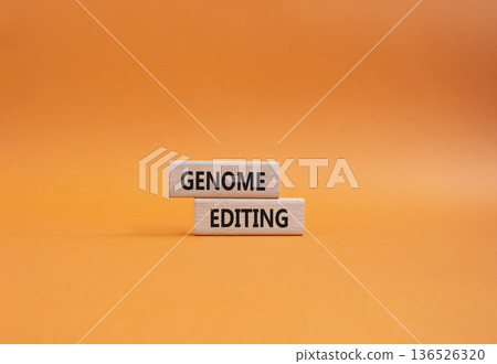 Genome Editing symbol. Wooden blocks with words Genome Editing. Beautiful orange background. Genetics and Genome Editing concept. Copy space. 136526320