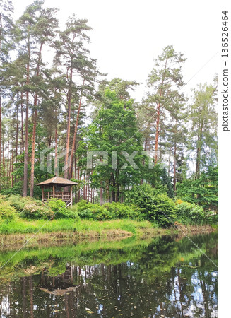 Fresh spring plants and trees surround a calm water. Vitality and outdoor tranquility. Fresh spring plants and trees surround a calm water. Vitality and outdoor tranquility. 136526464