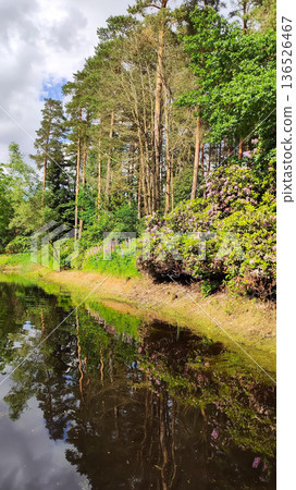 A warm day lights up a scenic park pond. A warm day lights up a scenic park pond. 136526467