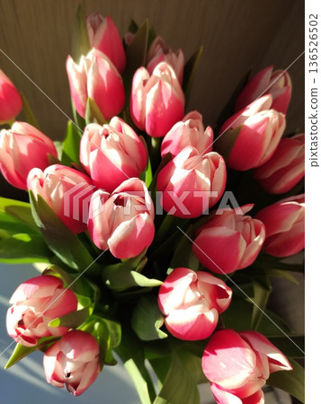 Fresh tulips bring life to a cozy home interior. Fresh tulips bring life to a cozy home interior. 136526502
