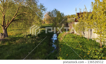 A scenic pond reflects trees under warm daylight. A scenic pond reflects trees under warm daylight. 136526512