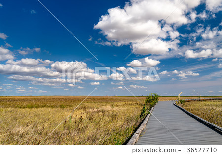 Prairie Wind Overlook in Badlands National Park South Dakota. Wooden boardwalk winds through a grassy prairie field under a blue sky with clouds Prairie Wind Overlook in Badlands National Park South Dakota. Wooden boardwalk winds through a grassy prairie field under a blue sky with clouds 136527710