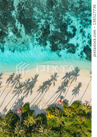 Aerial tropical beach gorgeous tourism landscape relax summer holiday Maldives 136527736