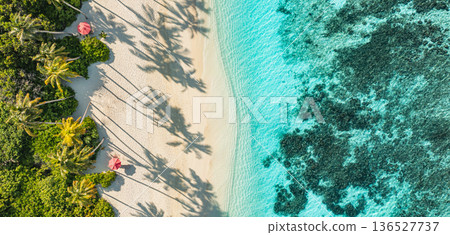 Outstanding resort beach sunny tropical paradise palm tree shadows ocean lagoon Outstanding resort beach sunny tropical paradise palm tree shadows ocean lagoon 136527737