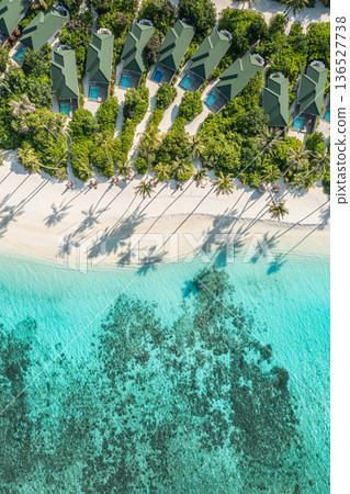 Tropical beach paradise calm ocean lagoon palm tree shadows summer copy space Tropical beach paradise calm ocean lagoon palm tree shadows summer copy space 136527738