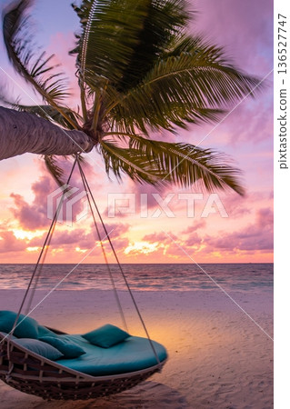 Tranquil sunrise beach palm tree swing hammock nature ocean view meditation sky Tranquil sunrise beach palm tree swing hammock nature ocean view meditation sky 136527747