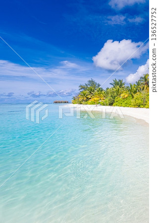 Tropical island paradise Maldives luxury resort sunny beach ocean view landscape 136527752
