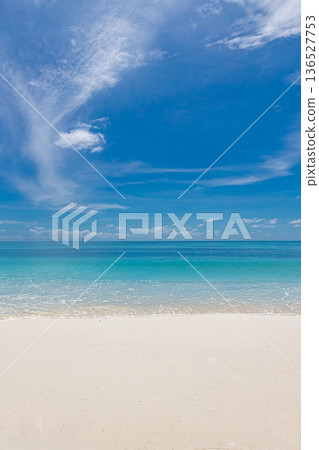 Sunny summer beach calm ocean waves horizon perfect wall art Maldives landscape 136527753