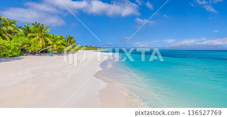 Panoramic Maldives beach vista turquoise ocean tropical horizon scenic travel background 136527769