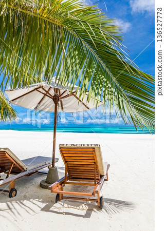 Serene beach chairs palm leaves ocean view luxury resort background relax mood Serene beach chairs palm leaves ocean view luxury resort background relax mood 136527778